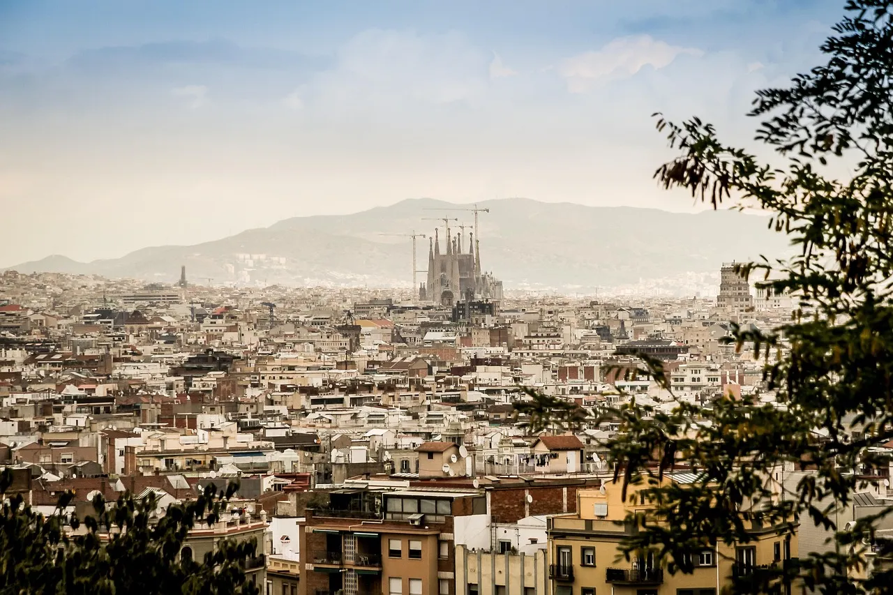 Professional chauffeur and executive car service in Barcelona, Spain