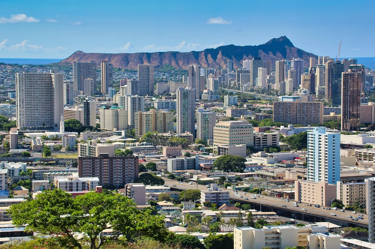 Professional chauffeur and executive car service in Honolulu, United States