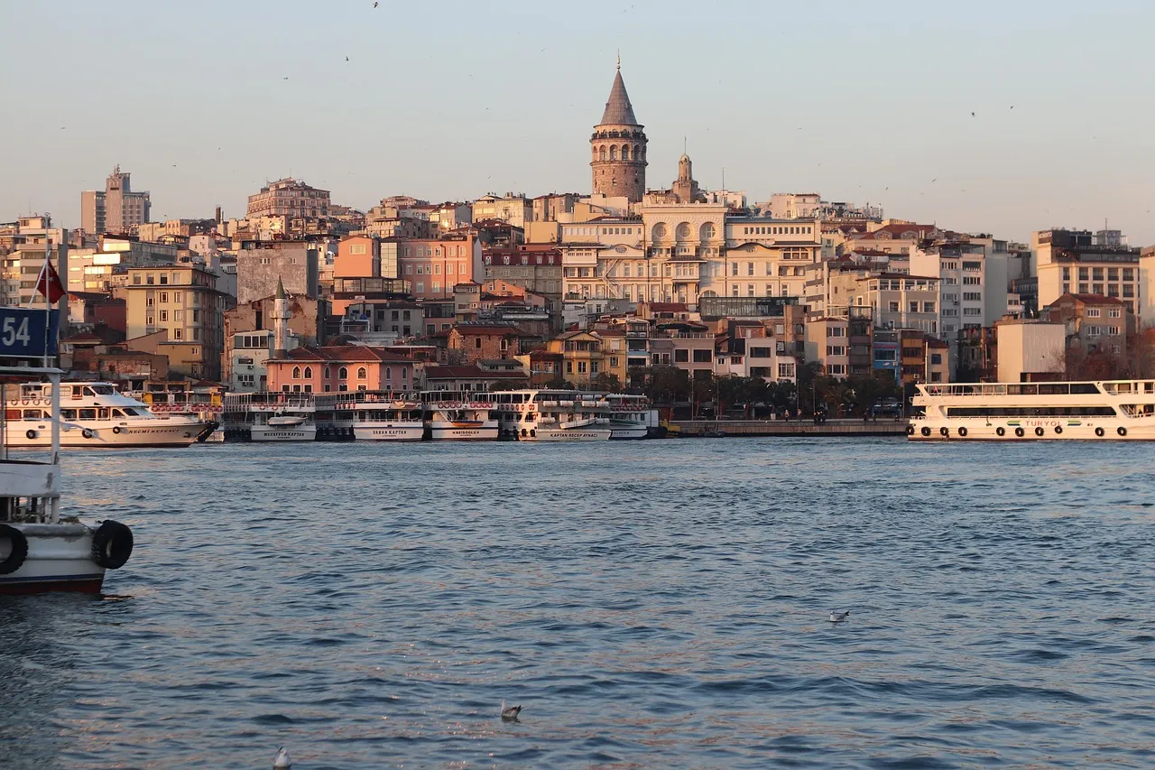 Professional chauffeur and executive car service in Istanbul, Turkey