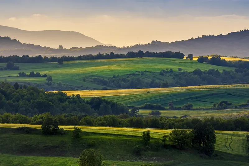 Napa Valley chauffeur service