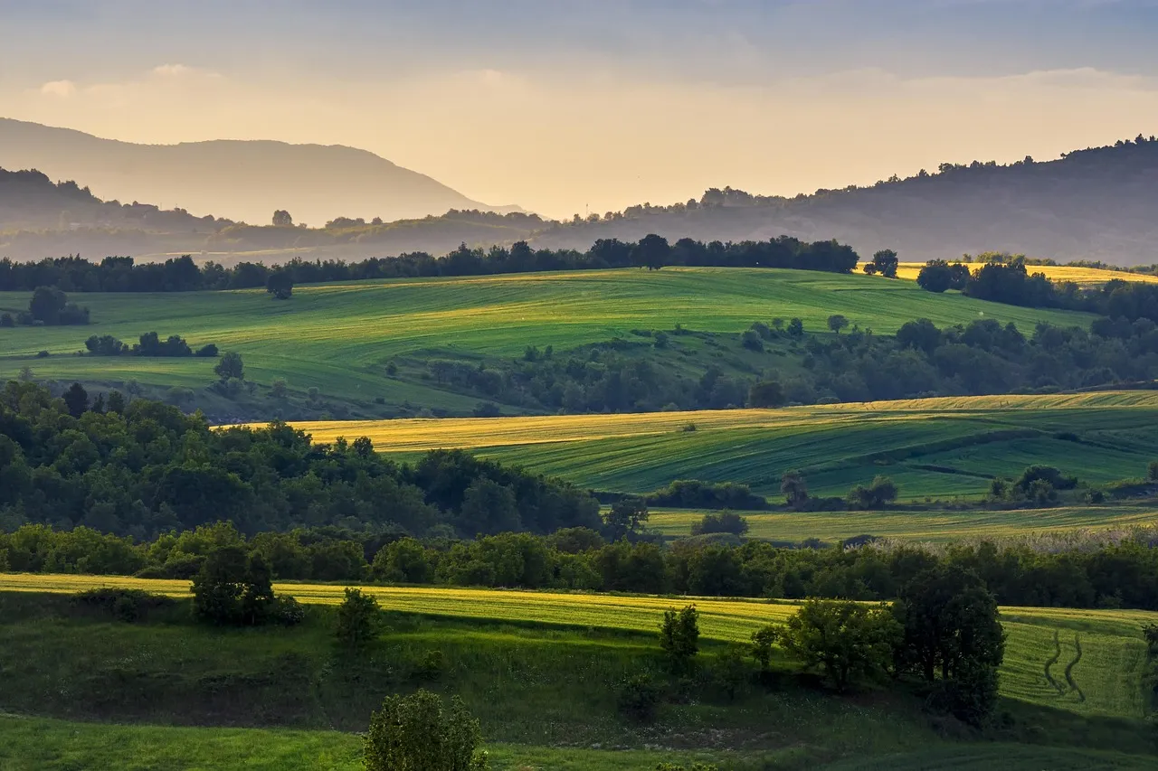 Professional chauffeur and executive car service in Napa Valley, United States