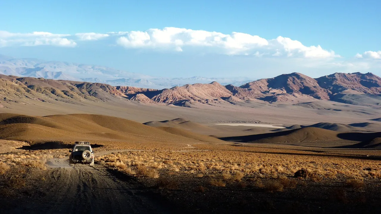 Professional chauffeur and executive car service in Santiago, Chile