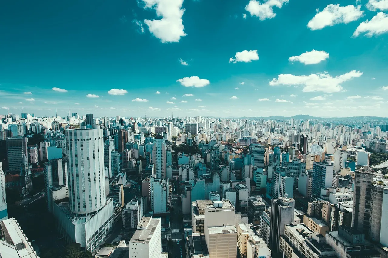 Professional chauffeur and executive car service in São Paulo, Brazil