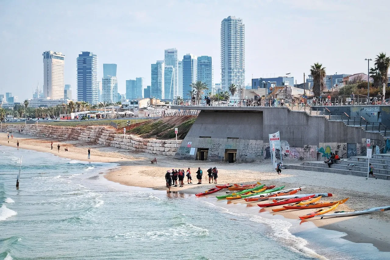 Professional chauffeur and executive car service in Tel Aviv, Israel