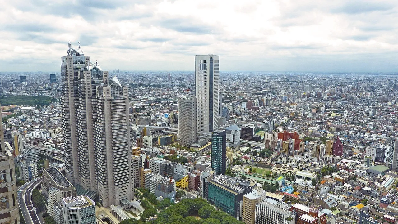 Professional chauffeur and executive car service in Tokyo, Japan