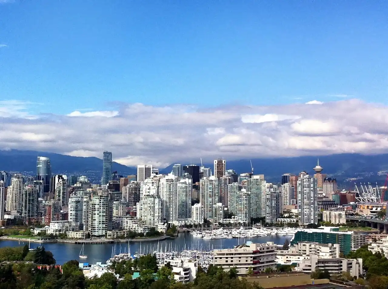 Professional chauffeur and executive car service in Vancouver, Canada